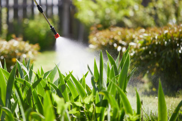 24/7 Emergency Cockroach Control experts in Spring Lake, MI